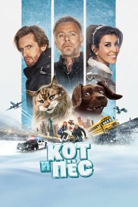  Кот и пёс 